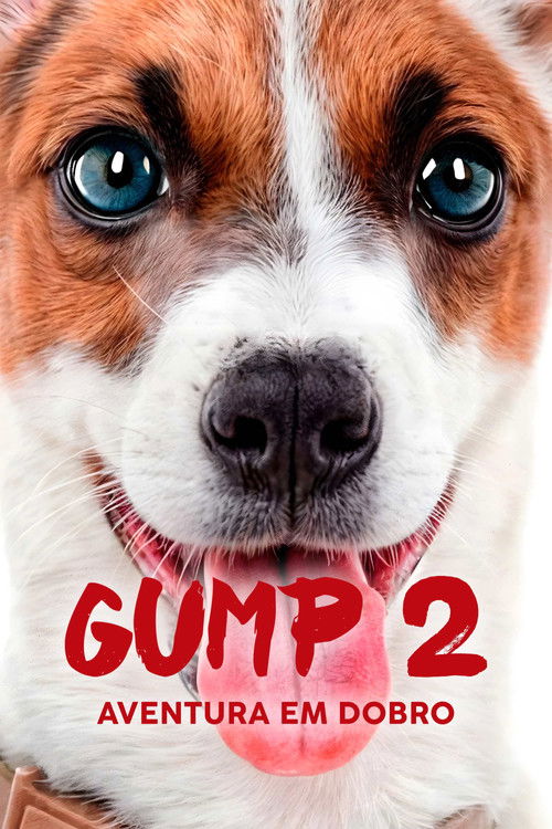 Gump 2 Aventura em Dobro (2024)